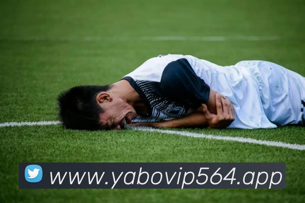 yabo亚博服务体系
